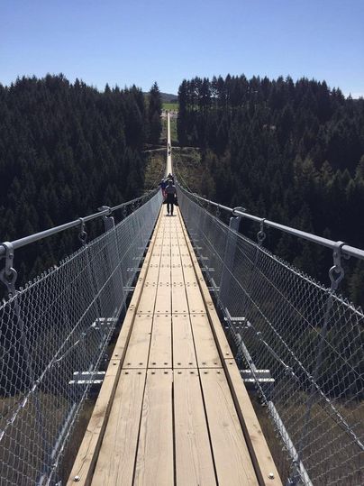 Eine Hängebrücke, die durch eine Waldlandschaft führt. Eine Person steht in der Mitte der Brücke und blickt in die Ferne.