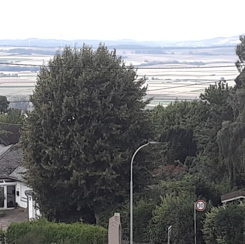 Aussicht, © Ferienwohnung Lydia