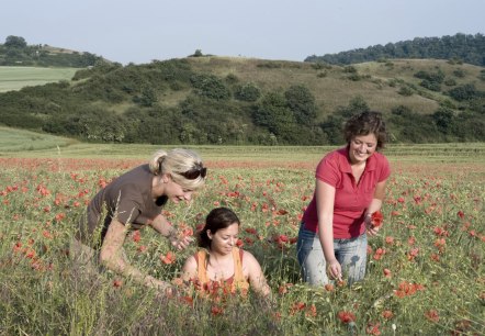 Drei Frauen stehen in einem blühenden Mohnblumenfeld im Naturschutzgebiet Nettetal. Im Hintergrund sind grüne Hügel zu sehen., © Traumpfade