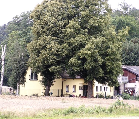 Haus mit Baum
