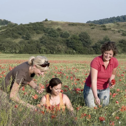 Drei Frauen stehen in einem bl&uuml;henden Mohnblumenfeld im Naturschutzgebiet Nettetal. Im Hintergrund sind gr&uuml;ne H&uuml;gel zu sehen., &copy; Traumpfade