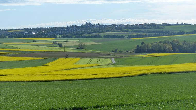 Eine weitläufige Landschaft mit grünen Feldern und leuchtend gelben Rapsfeldern. Im Hintergrund sind sanfte Hügel und ein Dorf sichtbar.