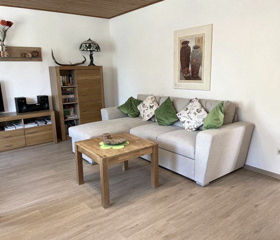 Die gemütliche Couch im Wohnzimmer