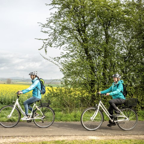 Zwei Radfahrer in blauen Jacken fahren auf einem Weg entlang eines blühenden Rapsfeldes, umgeben von grünen Bäumen und bewölktem Himmel., © Eifel Tourismus GmbH, Dominik Ketz