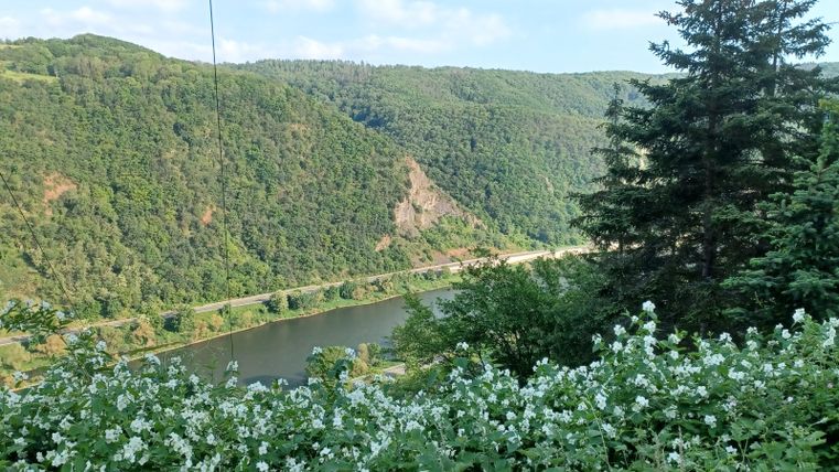 Eine malerische Landschaft mit einem Fluss, umgeben von hohen Hügeln und Bäumen. Im Vordergrund blühen weiße Blumen.