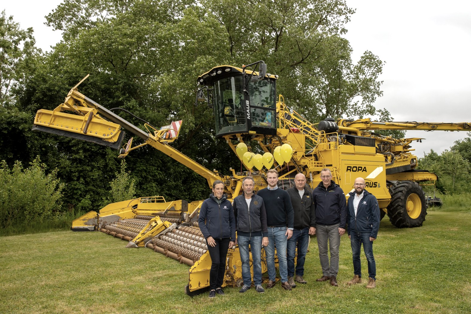 R&uuml;benmaus, &copy; TI Maifeld