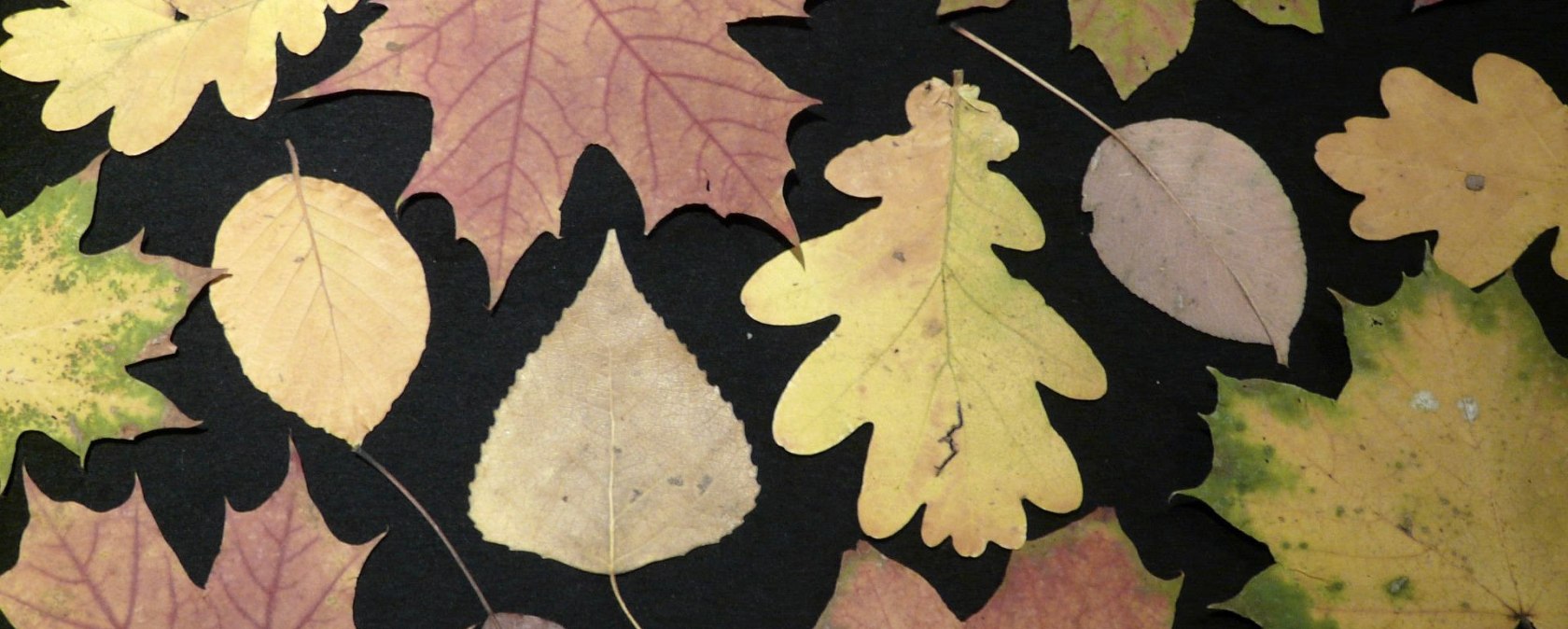 Herbst