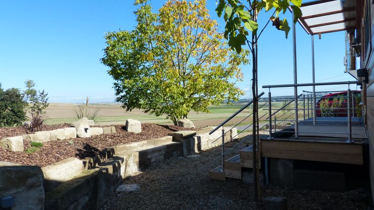 Ein grüner Baum steht neben einer Terrasse. Der Garten hat einen klaren Blick auf die Landschaft im Hintergrund.