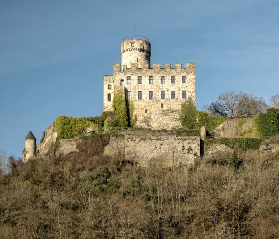Burg Pyrmont thront majestätisch auf einem bewaldeten Hügel, umgeben von kahlen Bäumen und blauem Himmel., © Eifel Tourismus GmbH, D. Ketz
