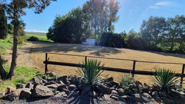Ein offenes Feld mit einigen Bäumen im Hintergrund. Im Vordergrund sind Blumentöpfe und Steine zu sehen.
