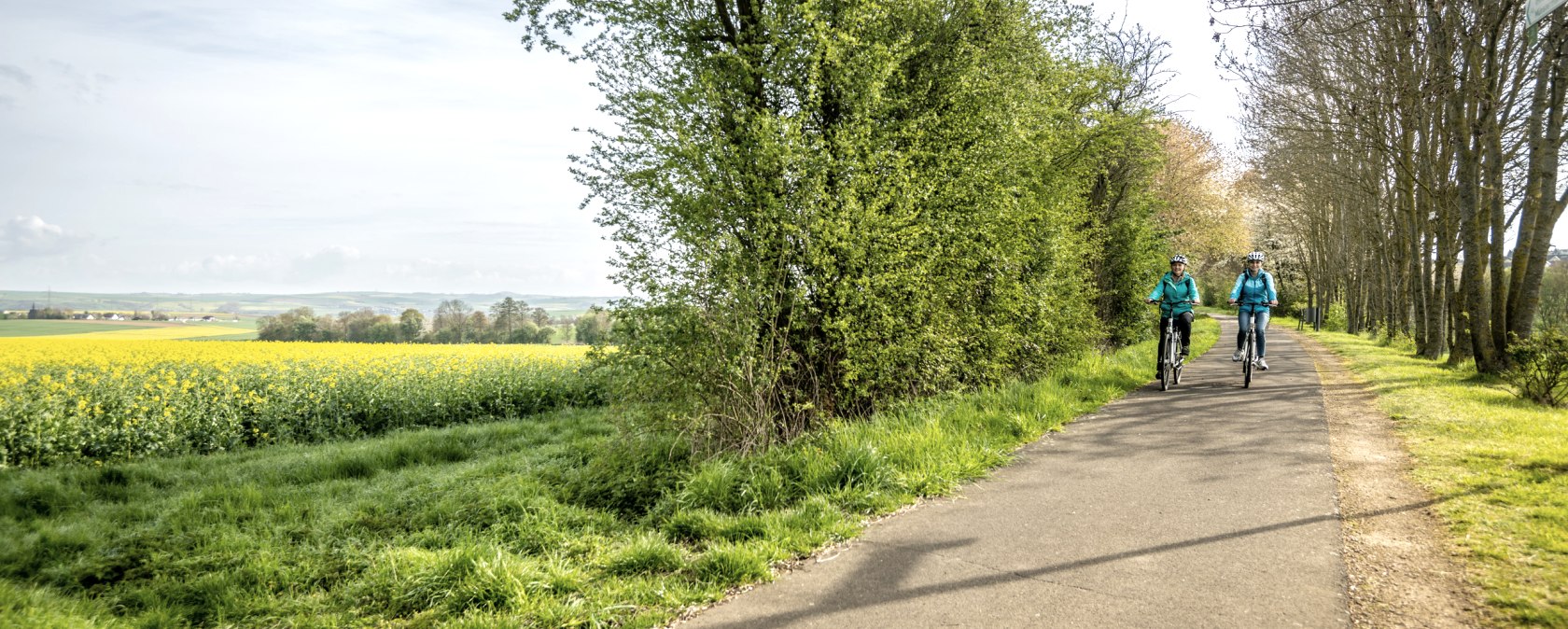 Zwei Radfahrer fahren auf einem asphaltierten Weg entlang blühender Rapsfelder und grüner Bäume., © Eifel Tourismus GmbH, Dominik Ketz