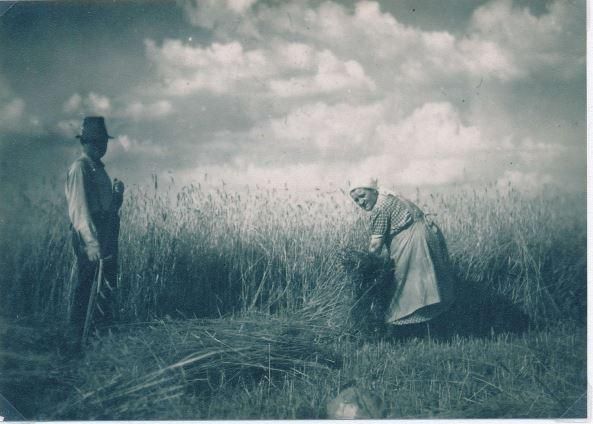 Ein Mann steht in einem Feld, während eine Frau mit einer Sichel Getreide erntet. Der Himmel ist bewölkt und die Landschaft wirkt ländlich.