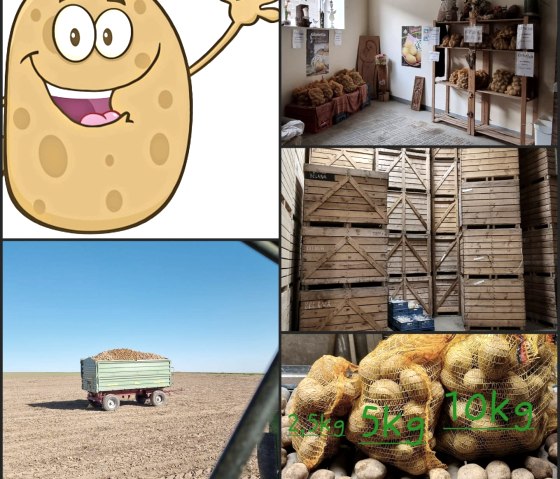 Kartoffel2, &copy; Egon Nell