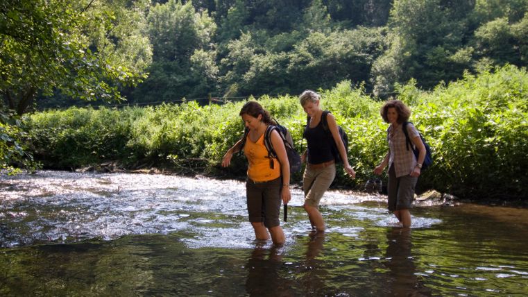 Drei Frauen waten durch einen flachen Fluss in einer grünen, bewaldeten Umgebung.