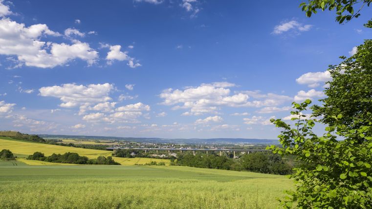 Eine weite Landschaft mit grünen Feldern und vereinzelten Bäumen. Der Himmel ist blau und mit weißen Wolken übersät.