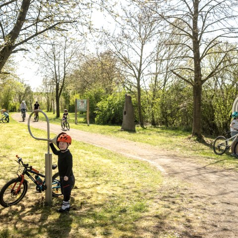 Der Sinnespfad in Kerben, hier lohnt sich ein Stop!, © TI Maifeld, Dominik Ketz