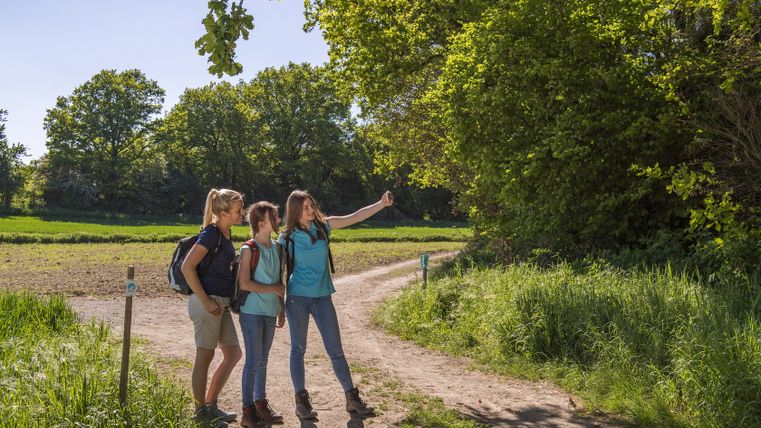 Drei Personen machen ein Selfie auf einem Wanderweg im Grünen.
