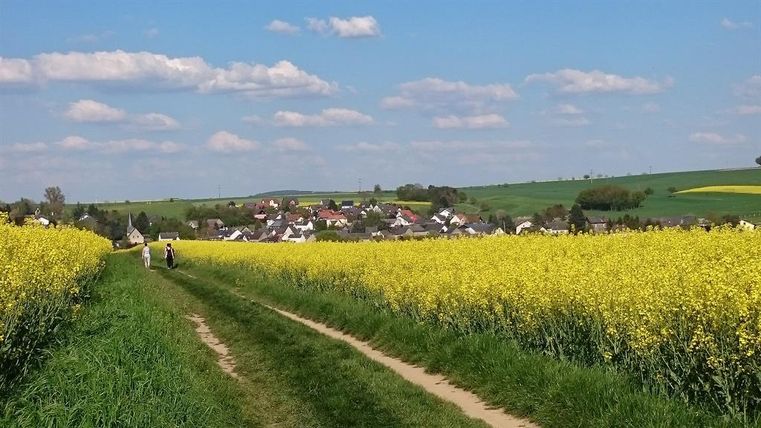 Eine malerische Landschaft mit einem gelben Rapsfeld und einem kleinen Dorf im Hintergrund. Der Himmel ist blau mit einigen Wolken.