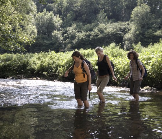 La Nette, sentier de schiste de la Nette, © Traumpfade/Kappest