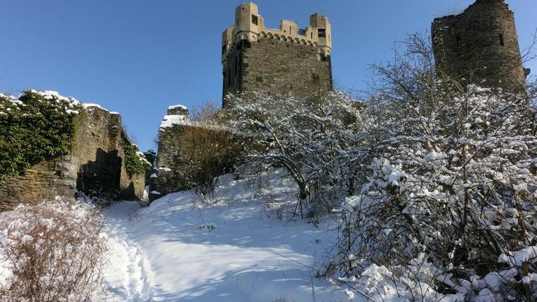 Un vieux château dans la neige avec un ciel bleu. Entouré de buissons enneigés et d'un chemin enneigé.