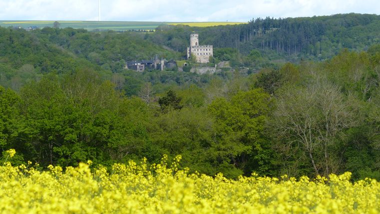 Eine malerische Landschaft mit einem blühenden Rapsfeld im Vordergrund und einem alten Schloss im Hintergrund. Die sanften Hügel und der klare Himmel ergänzen das idyllische Bild.