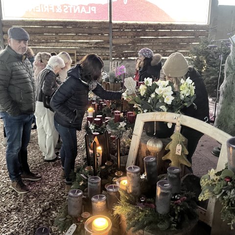 Pflanzenstand, © REMET