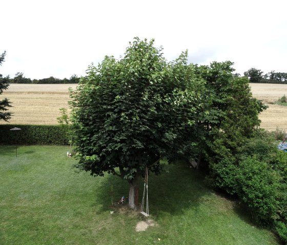 Uitzicht op de tuin