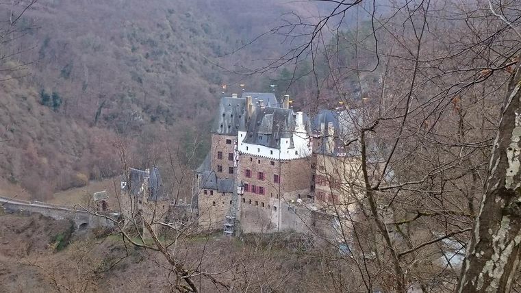 Eine alte Burg in einer bewaldeten Landschaft. Die Bäume sind kahl und der Himmel ist bewölkt.