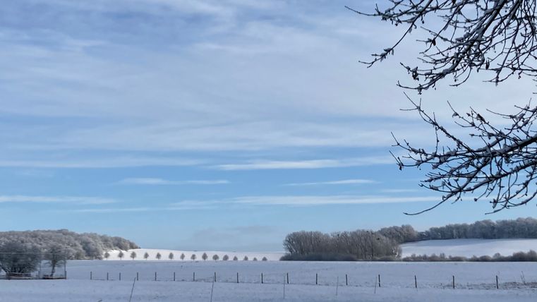schneebedeckte Felder, dazu ein blau-weißer Winterhimmel.