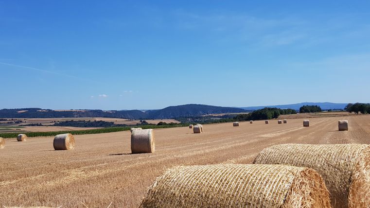 Eine weite Landschaft mit abgeerntetem Feld und Heuballen. Der Himmel ist klar und blau, mit sanften Hügeln im Hintergrund.