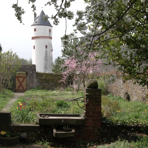 Blick auf die Laufenburg (Eulenturm)