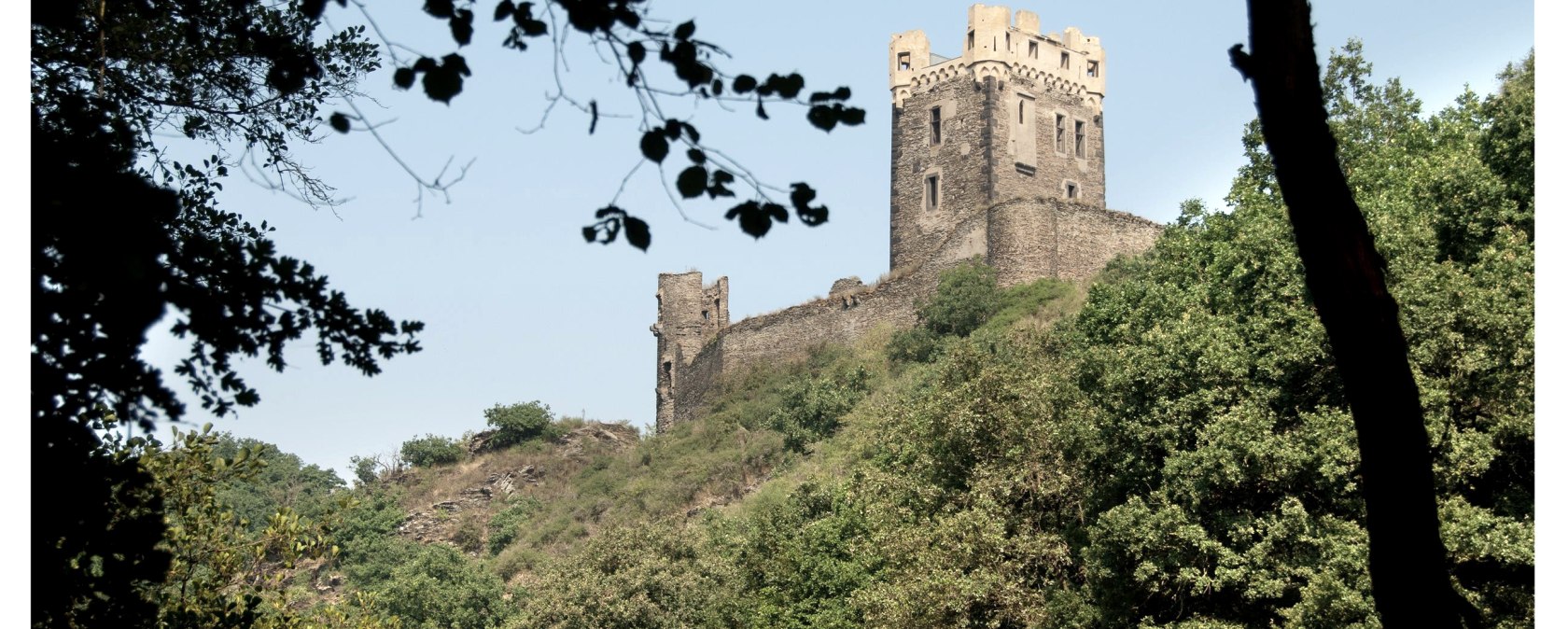 Blick auf burg Wernerseck