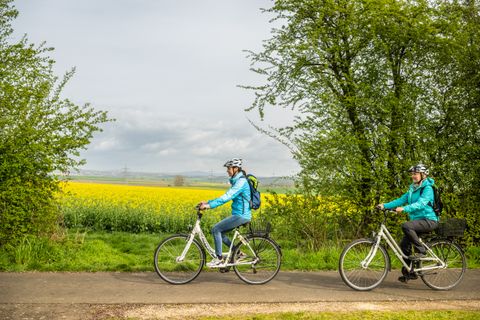 Zwei Radfahrer auf einem Weg neben einem blühenden Rapsfeld.