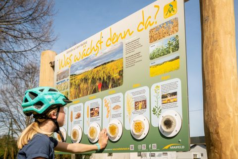 Ein Kind mit einem Helm betrachtet ein Informationsschild über landwirtschaftliche Pflanzen. Das Schild zeigt verschiedene Getreidesorten und ihre Verwendung.