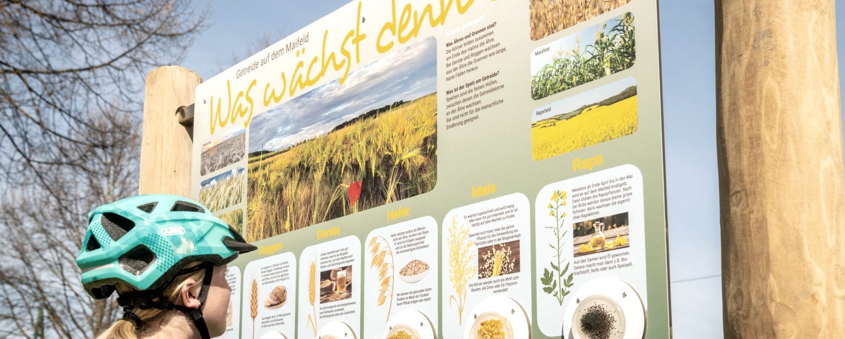 Tafel Getreide, &copy; TI Maifeld, Dominik Ketz