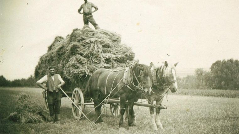 Ein alter Bauernhof mit zwei Pferden, die einen Wagen voller Heu ziehen. Zwei Männer stehen dabei, einer auf dem Wagen und einer daneben.